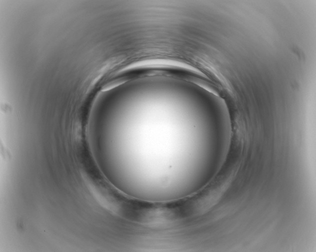 X0000091310212200708101509