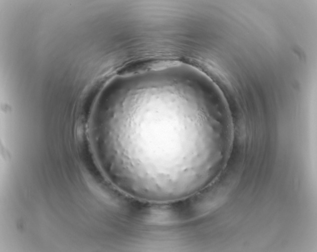 X0000091310214200708101509