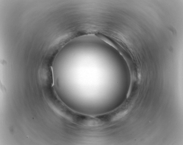 X0000091310215200708101509