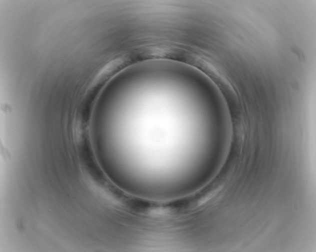 X0000091310216200708101509