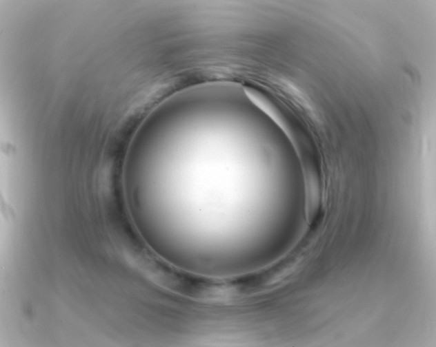 X0000091310217200708101509