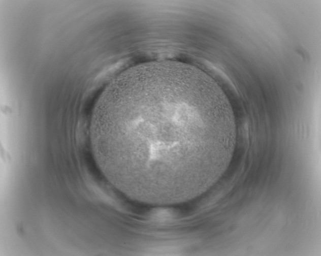 X0000091310218200708101509