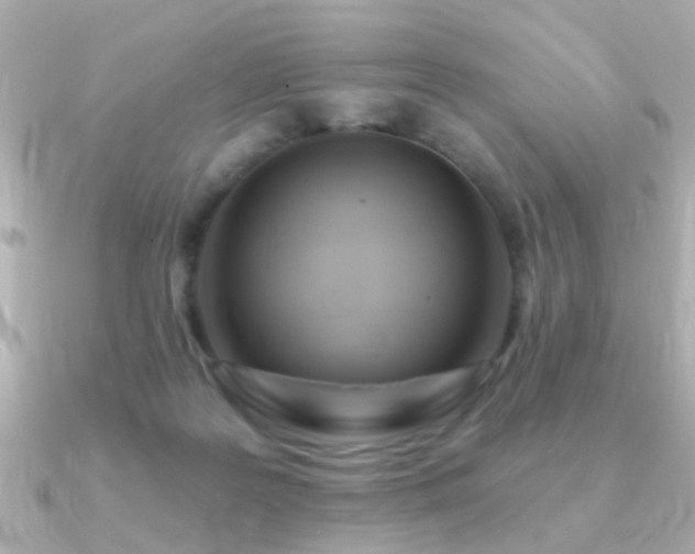 X0000091310219200708101509