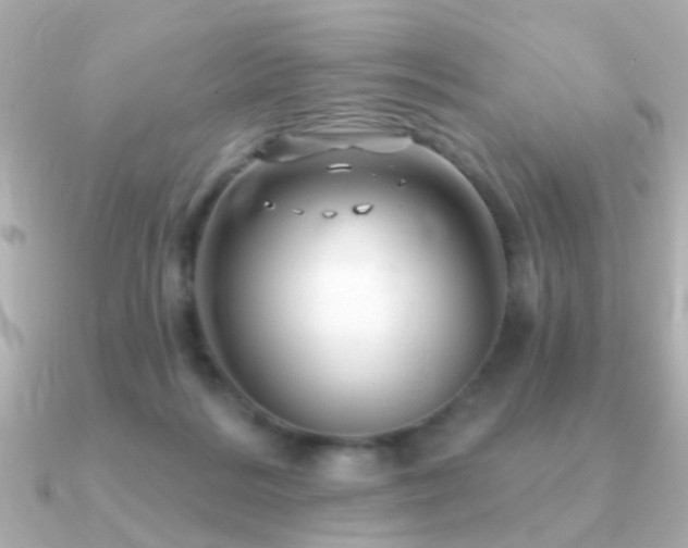 X0000091310220200708101509