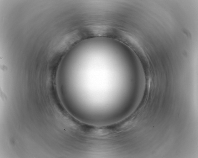 X0000091310221200708101509