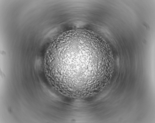 X0000091310222200708101509