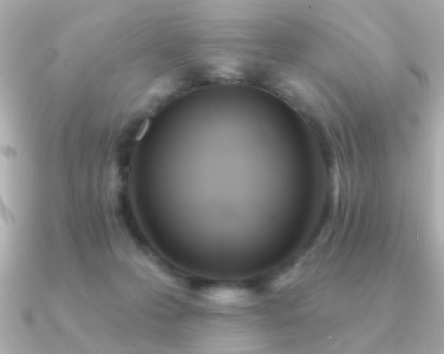 X0000091310223200708101509