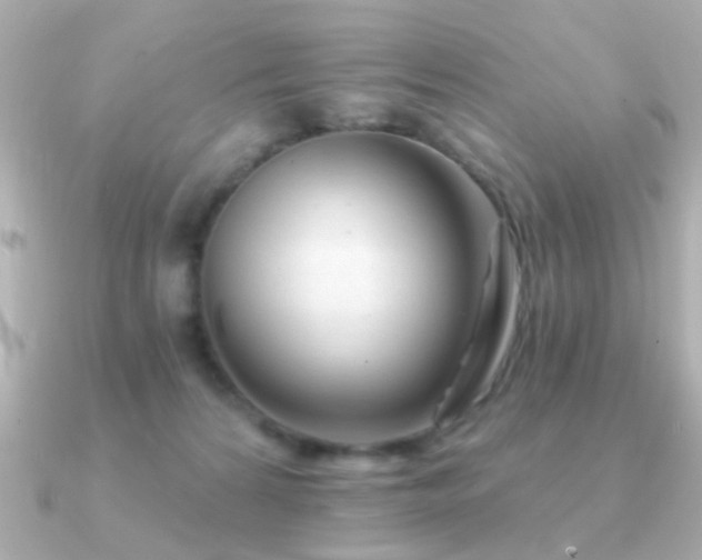 X0000091310224200708101509