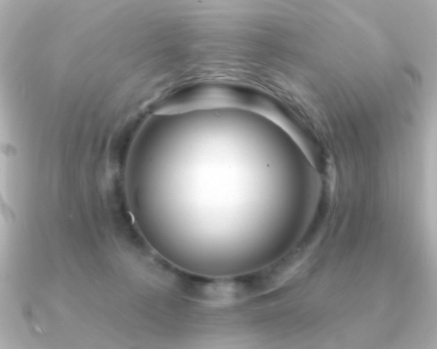 X0000091310225200708101509