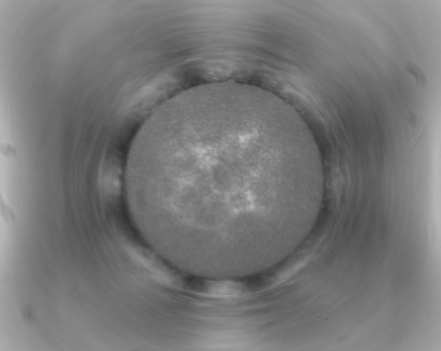 X0000091310226200708101509