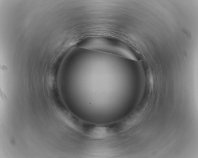 X0000091310227200708101509