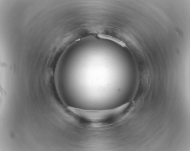 X0000091310229200708101509