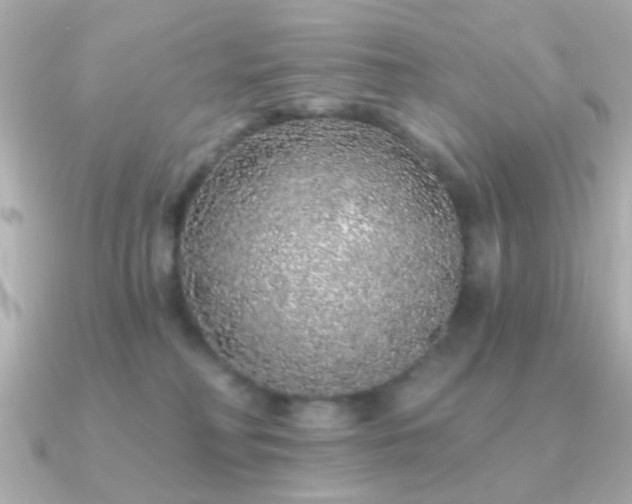 X0000091310230200708101509