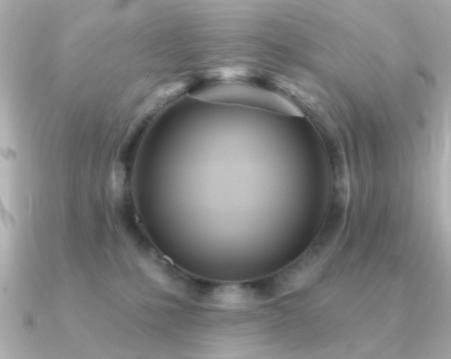 X0000091310231200708101509