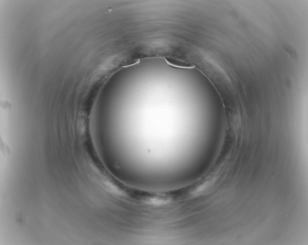 X0000091310232200708101509