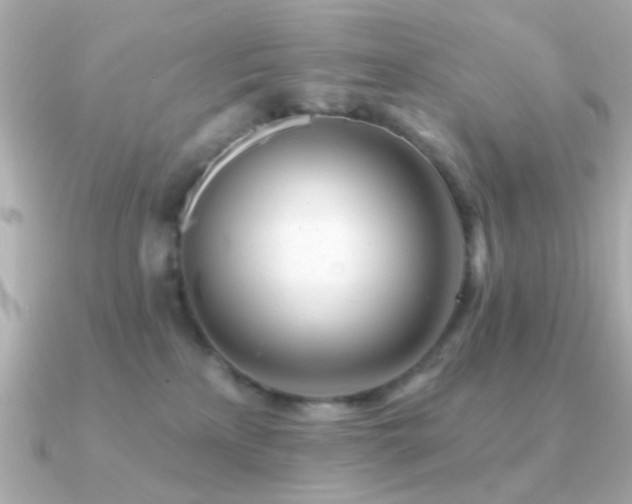 X0000091310233200708101509