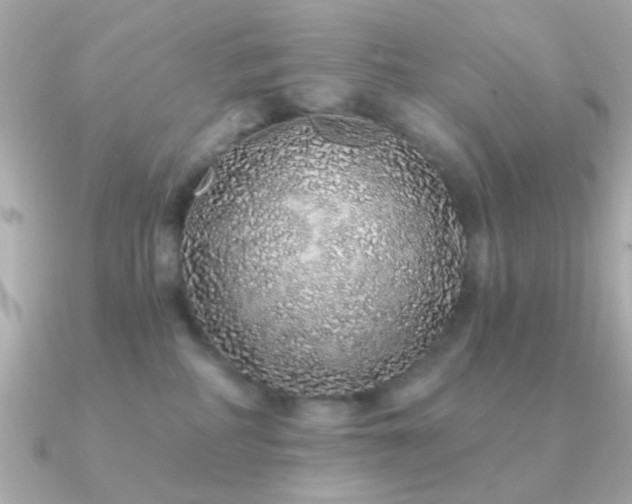 X0000091310234200708101509