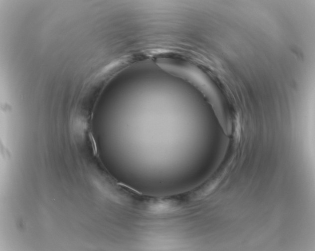 X0000091310235200708101509