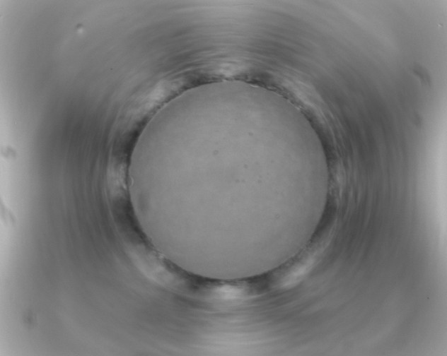 X0000091310236200708101509