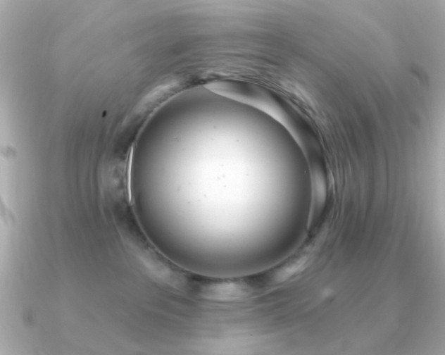 X0000091310237200708101509