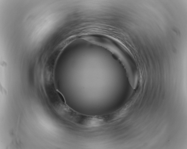 X0000091310239200708101509