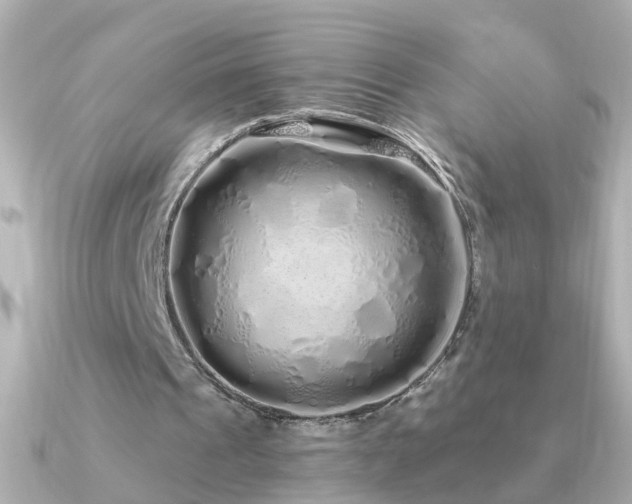 X0000091310241200708101508