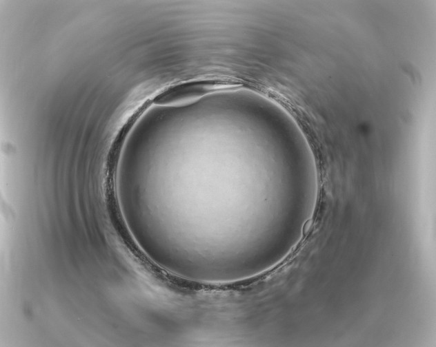 X0000091310242200708101508