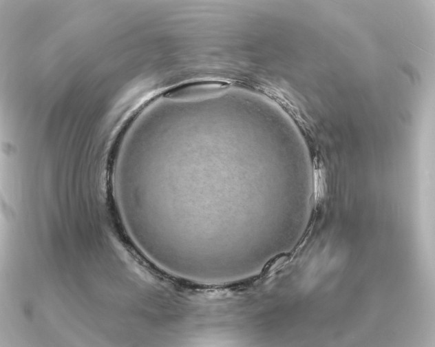 X0000091310243200708101508