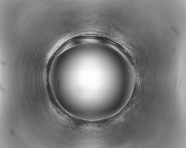 X0000091310244200708101508