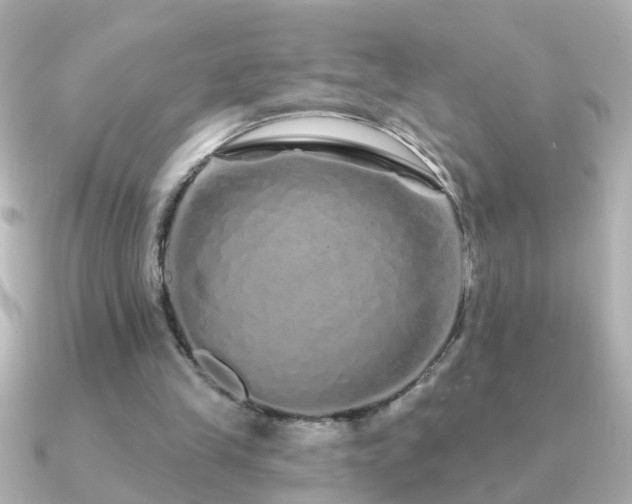 X0000091310245200708101508