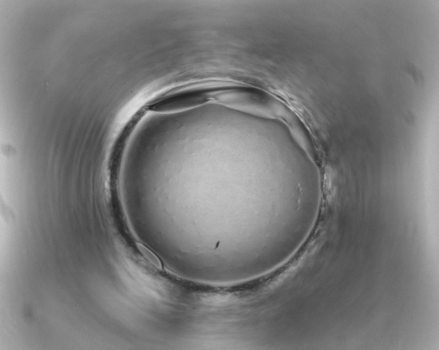 X0000091310246200708101508