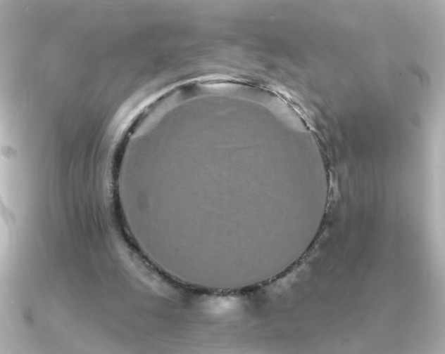 X0000091310247200708101508