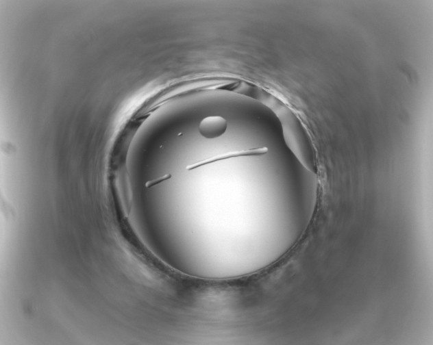 X0000091310248200708101508