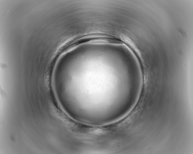 X0000091310249200708101508