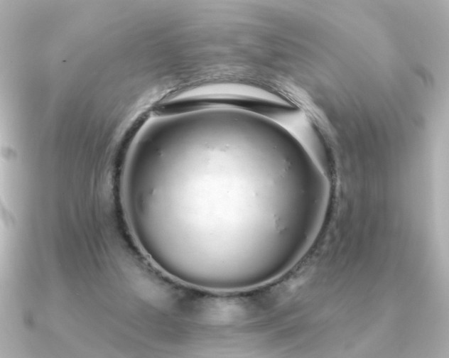 X0000091310250200708101508