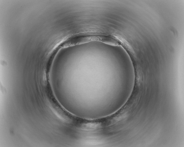 X0000091310251200708101508