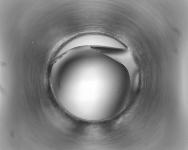 X0000091310252200708101508