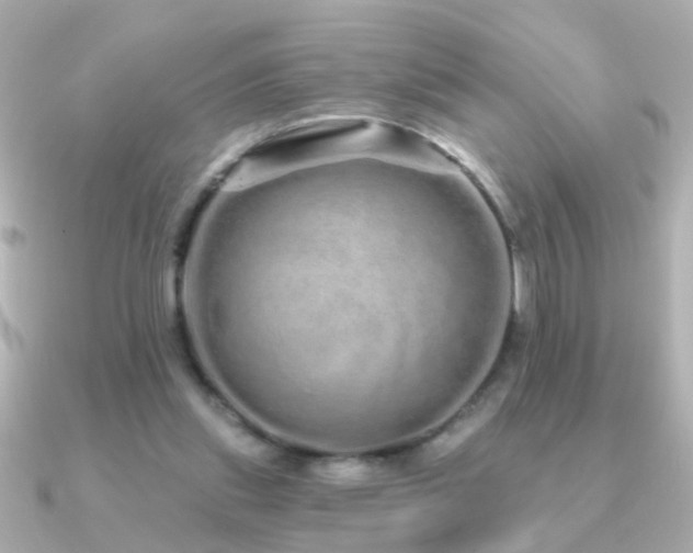 X0000091310253200708101508