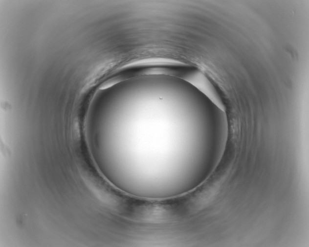 X0000091310254200708101508