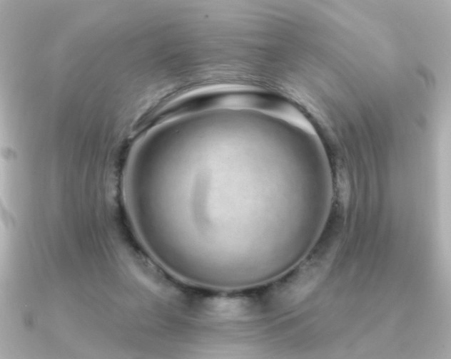 X0000091310255200708101508