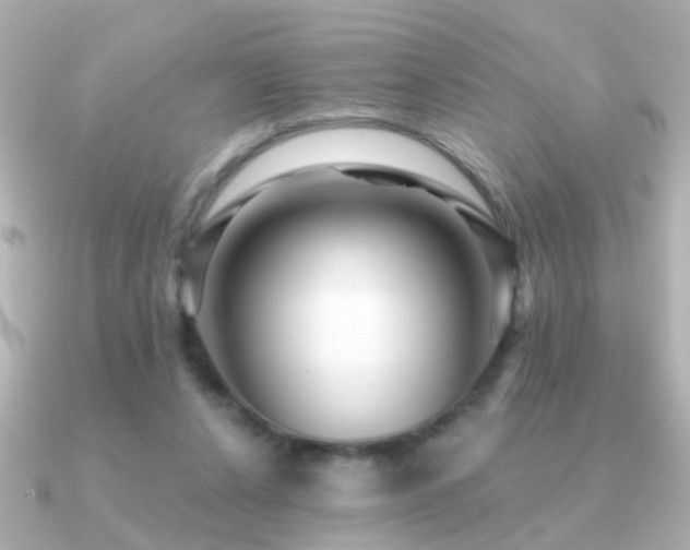 X0000091310256200708101508