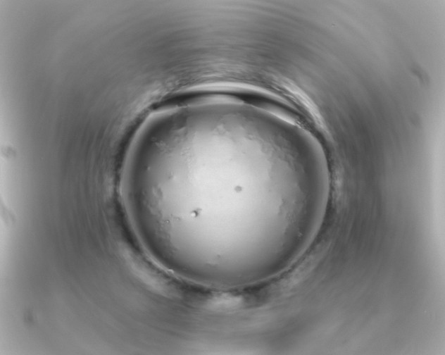 X0000091310257200708101508