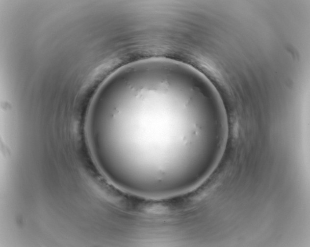 X0000091310258200708101508