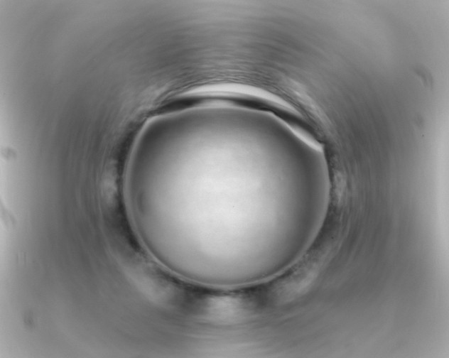 X0000091310259200708101508