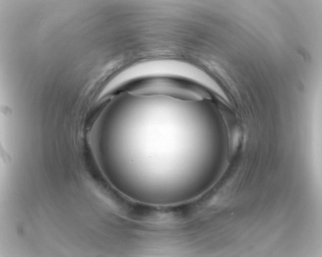 X0000091310260200708101508