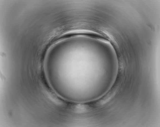 X0000091310261200708101508