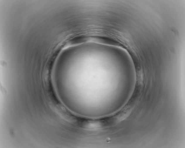 X0000091310263200708101508