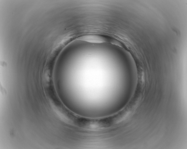 X0000091310264200708101508