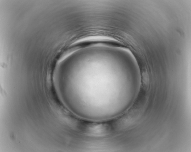 X0000091310267200708101509