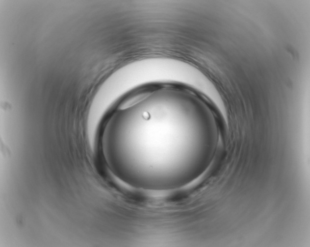 X0000091310268200708101509